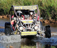 Buggies 400 WS